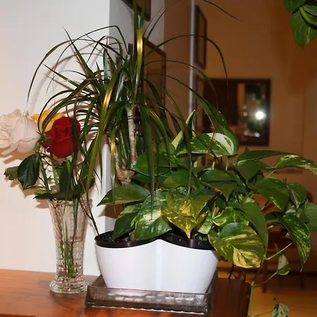 Hotel Sole Mare Sanremo