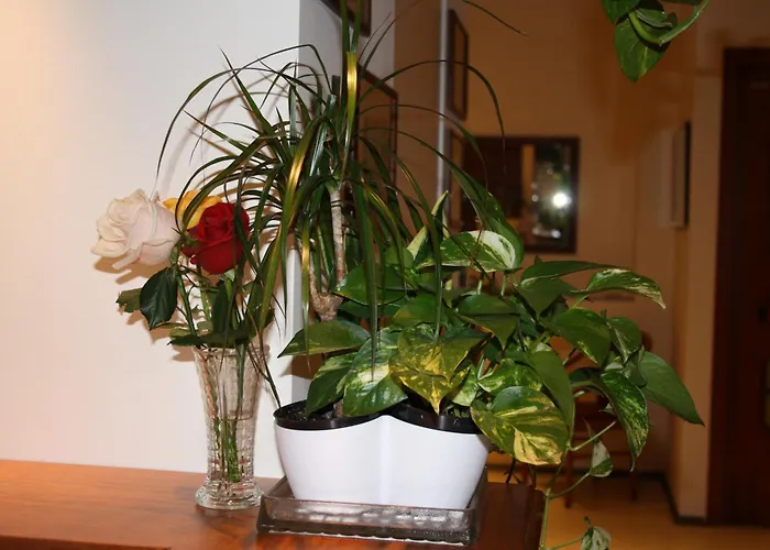 ホテル ソーレ マーレ サンレモ